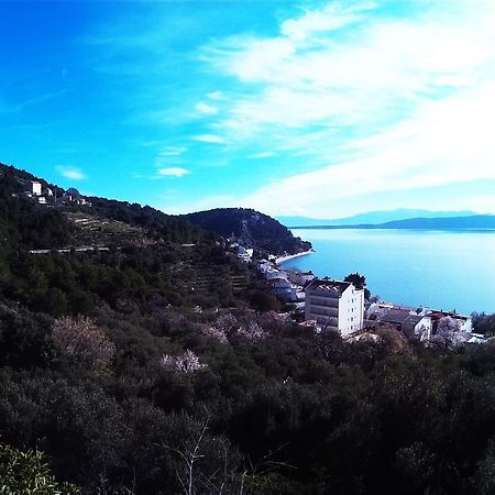 Borovik Guest House Živogošće Exteriér fotografie